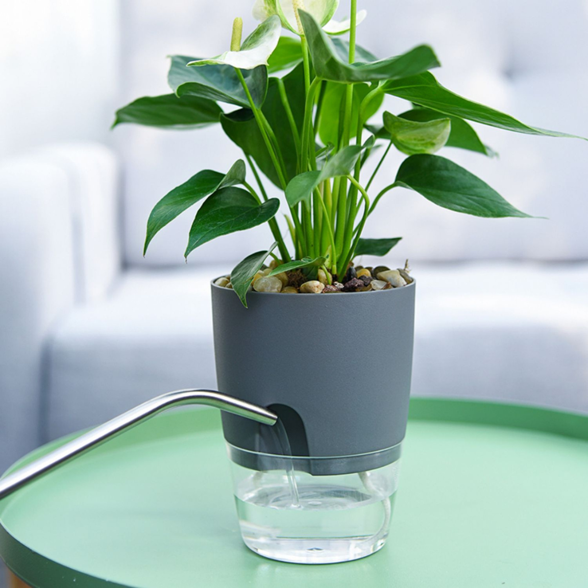 Domce- AquaGrow™ Självvattnande Kruka